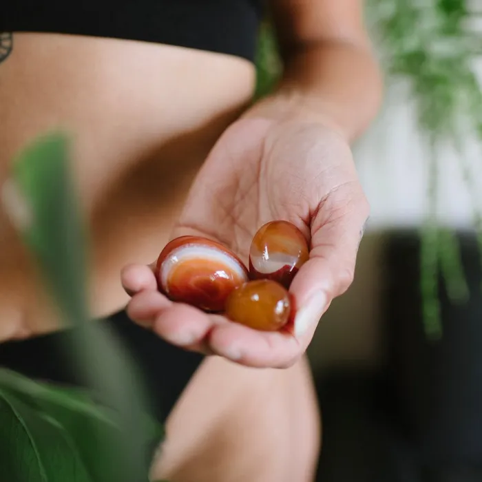 Anal TAE Feminine Wellness CARNELIAN YONI EGGS SET OF 3