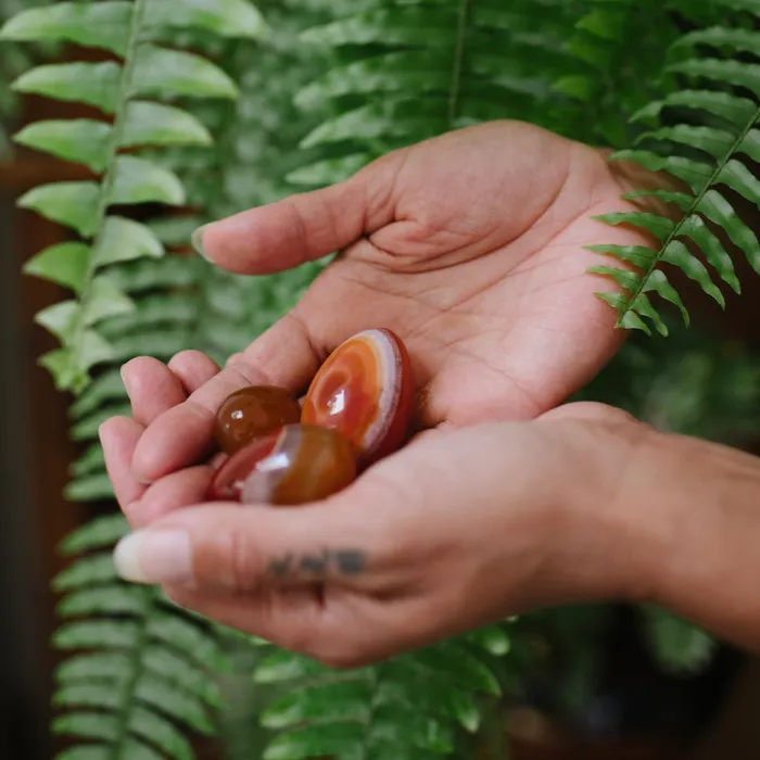 Anal TAE Feminine Wellness CARNELIAN YONI EGGS SET OF 3